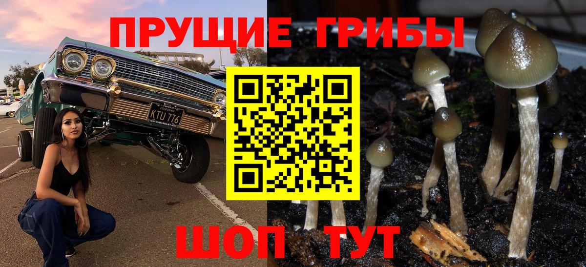 Псилоцибиновые грибы GOLDEN TEACHER Наро-Фоминск
