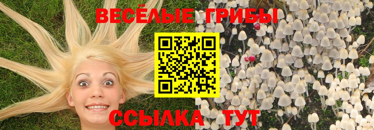 Кокаин  ГАШ  Канабис  MDMA  МЕТ  Наро-Фоминск  Меф МЯУ МЯУ кристаллы  Вход с VPN 