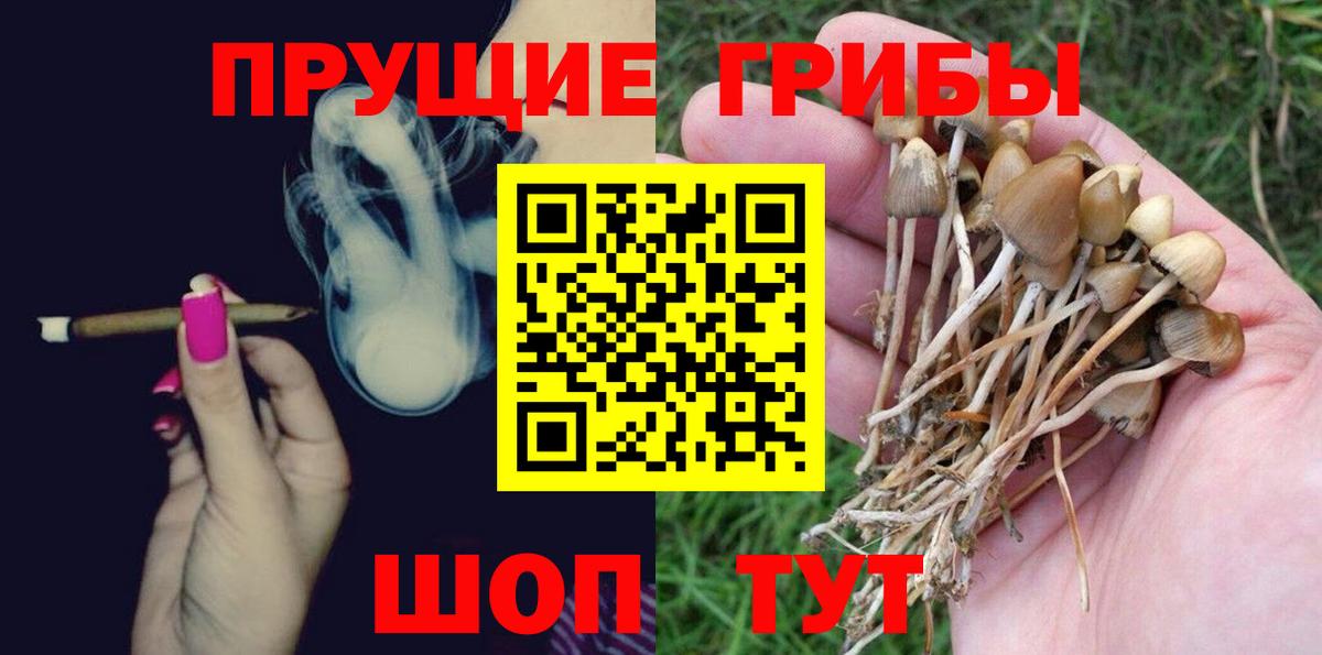 Наро-Фоминск  Псилоцибиновые грибы MAGIC MUSHROOMS  Псилоцибиновые грибы Psilocybine cubensis  Вход с VPN 